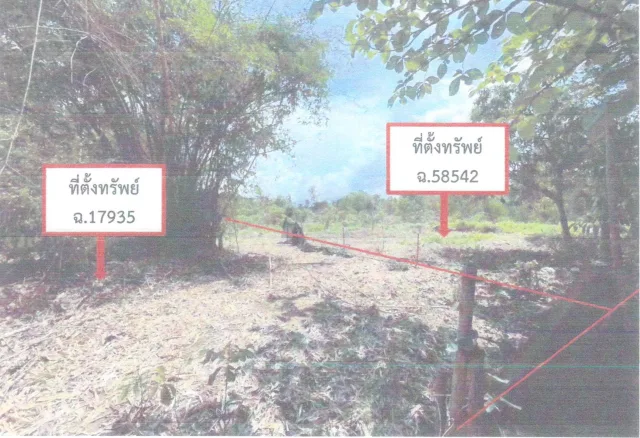 ขายทอดตลาด ที่ดินว่างเปล่า จ.เลย