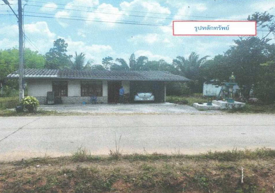 ขายทอดตลาด ที่ดินพร้อมสิ่งปลูกสร้าง ต.ควนเมา อ.รัษฎา จ.ตรัง