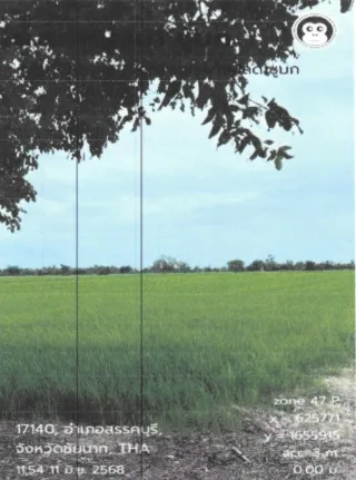 รูปทรัพย์ 3