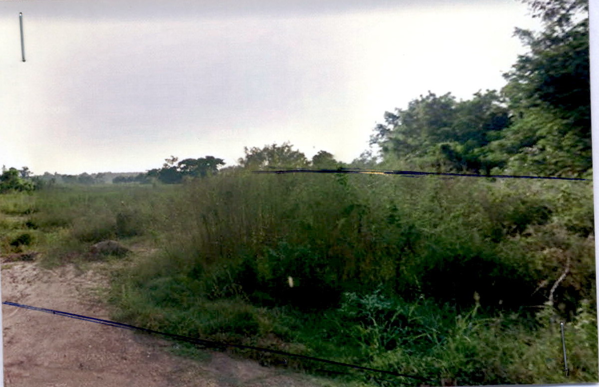 ขายทอดตลาด ที่ดินว่างเปล่า ต.พนอม อ.ท่าอุเทน จ.นครพนม