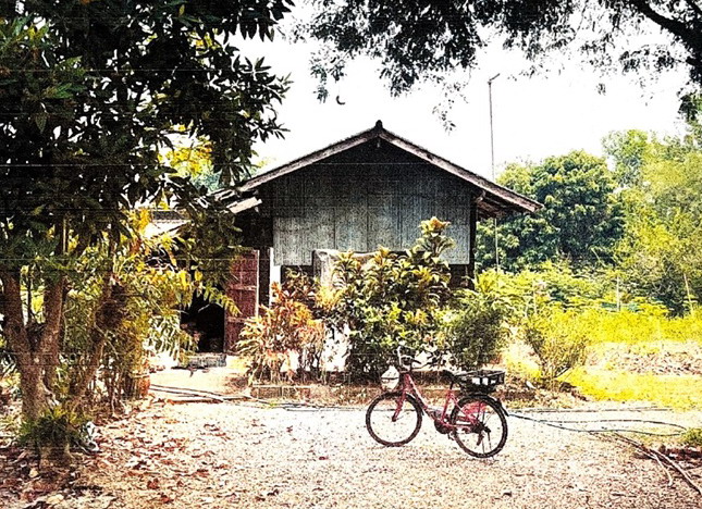ขายทอดตลาด ที่ดินพร้อมสิ่งปลูกสร้าง ต.แม่คำ อ.แม่จัน จ.เชียงราย