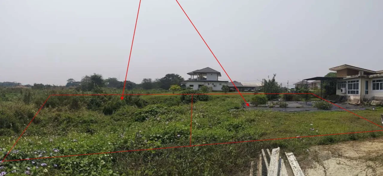ขายทอดตลาด ที่ดินว่างเปล่า จ.เชียงราย