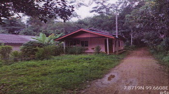 ขายทอดตลาด ที่ดินพร้อมสิ่งปลูกสร้าง ต.หนองปรือ อ.รัษฎา จ.ตรัง