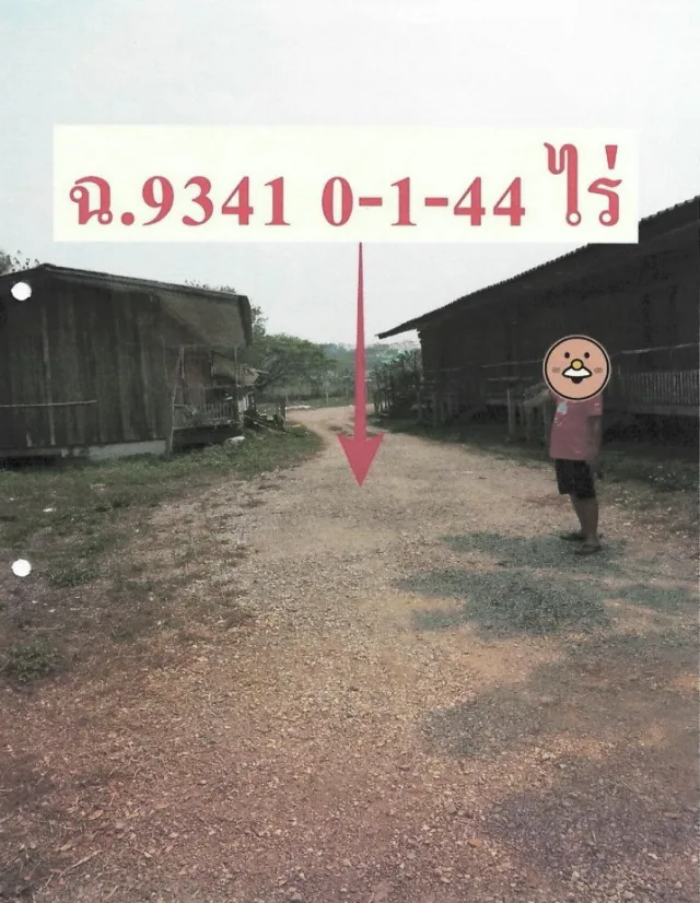 ขายทอดตลาด ที่ดินพร้อมสิ่งปลูกสร้าง ต.เวียงชัย อ.เวียงชัย จ.เชียงราย