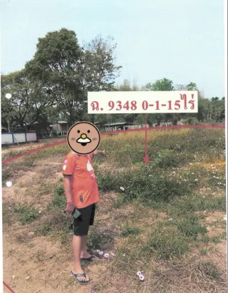 รูปทรัพย์ 1