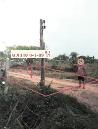 รูปทรัพย์ 2