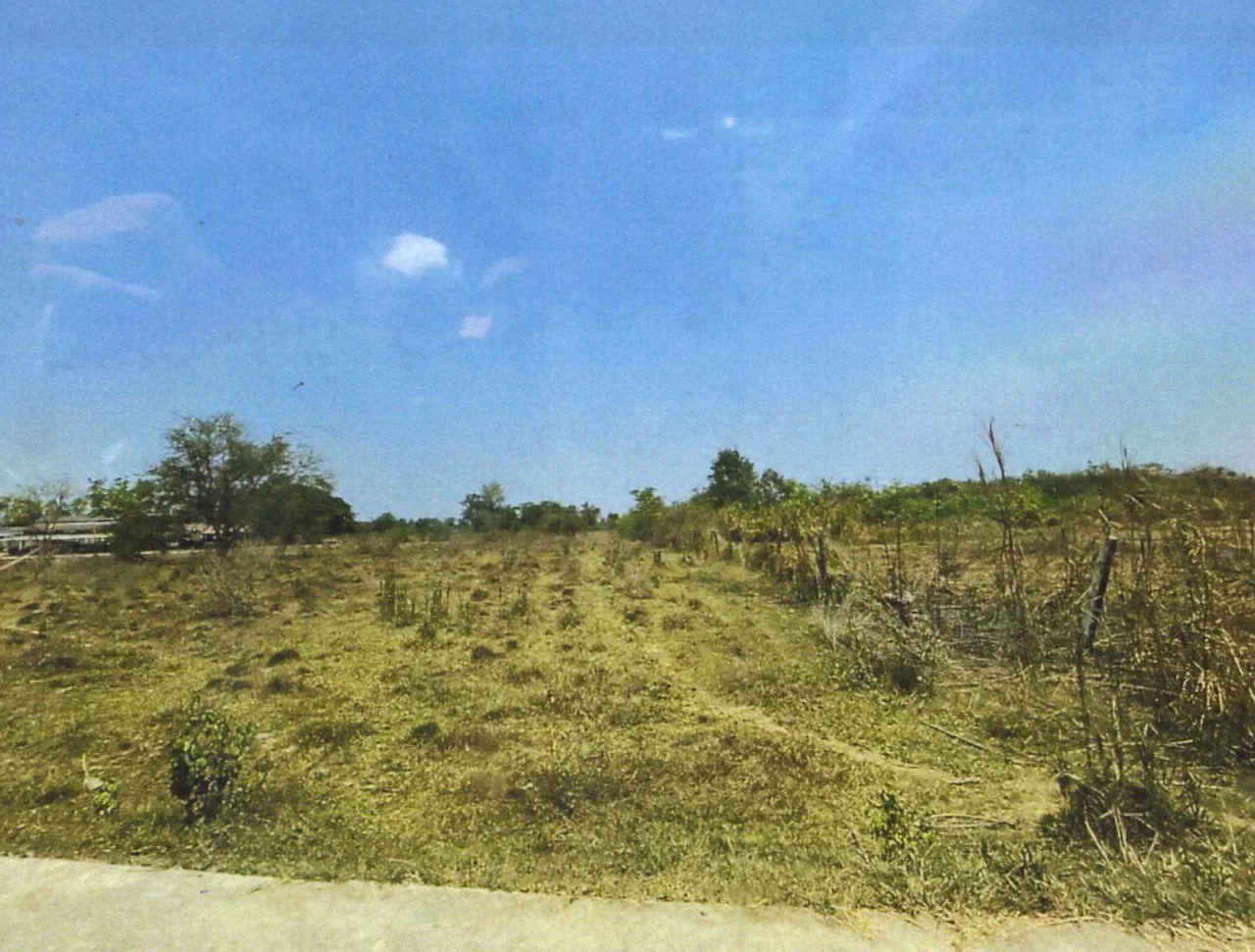 ขายทอดตลาด ที่ดินว่างเปล่า ต.พังตรุ อ.ท่าม่วง จ.กาญจนบุรี