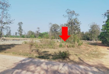 ขายทอดตลาด ที่ดินว่างเปล่า ต.คำเตย อ.เมืองนครพนม จ.นครพนม