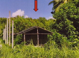 ขายทอดตลาด ที่ดินพร้อมสิ่งปลูกสร้าง ต.ตะเสะ อ.ปะเหลียน จ.ตรัง