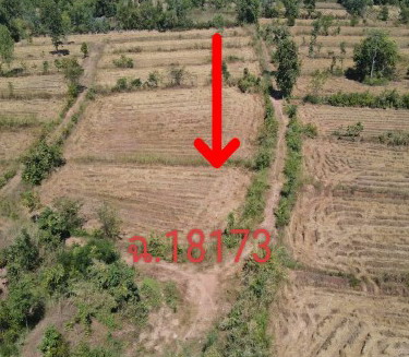 ขายทอดตลาด ที่ดินว่างเปล่า ต.บ้านเสียว อ.นาหว้า จ.นครพนม