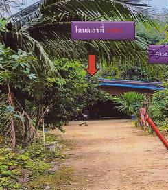 ขายทอดตลาด ที่ดินพร้อมสิ่งปลูกสร้าง ต.บางดี อ.ห้วยยอด จ.ตรัง