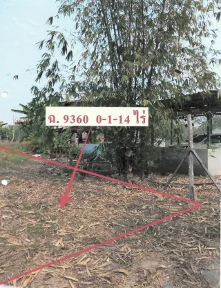 รูปทรัพย์ 9