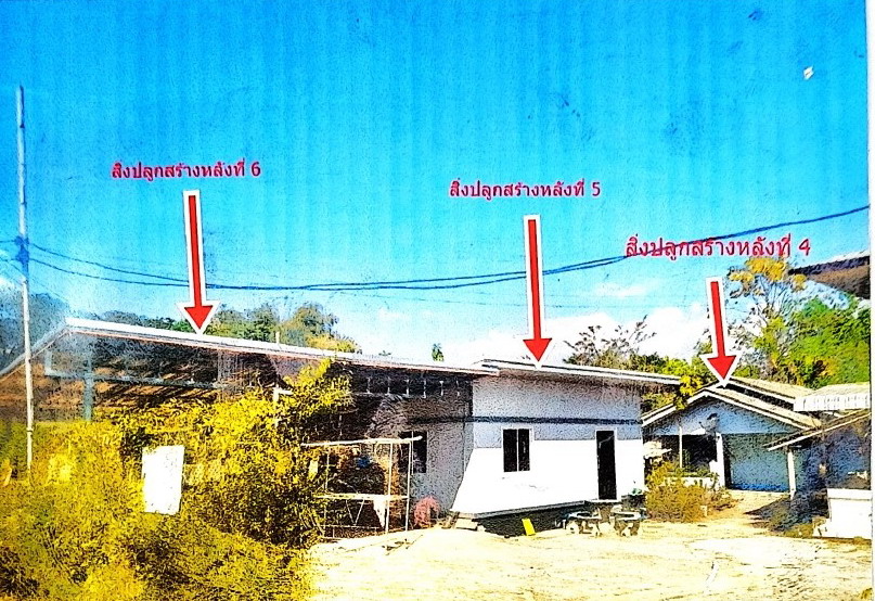 ขายทอดตลาด ที่ดินพร้อมสิ่งปลูกสร้าง ต.แม่คำ อ.แม่จัน จ.เชียงราย