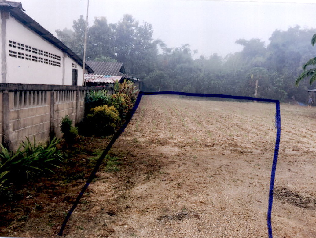ขายทอดตลาด ที่ดินว่างเปล่า ต.จันจว้า อ.แม่จัน จ.เชียงราย