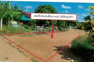 รูปทรัพย์ 1