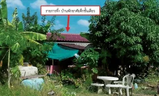 รูปทรัพย์ 2