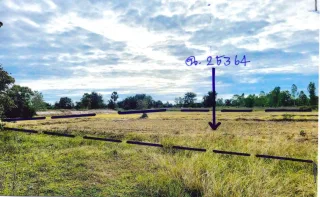 รูปทรัพย์ 2