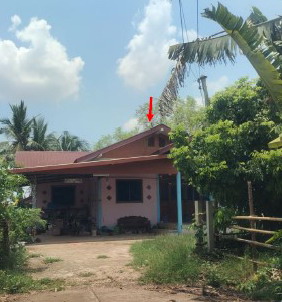 ขายทอดตลาด ที่ดินพร้อมสิ่งปลูกสร้าง ต.นาหัวบ่อ อ.โพนสวรรค์ จ.นครพนม