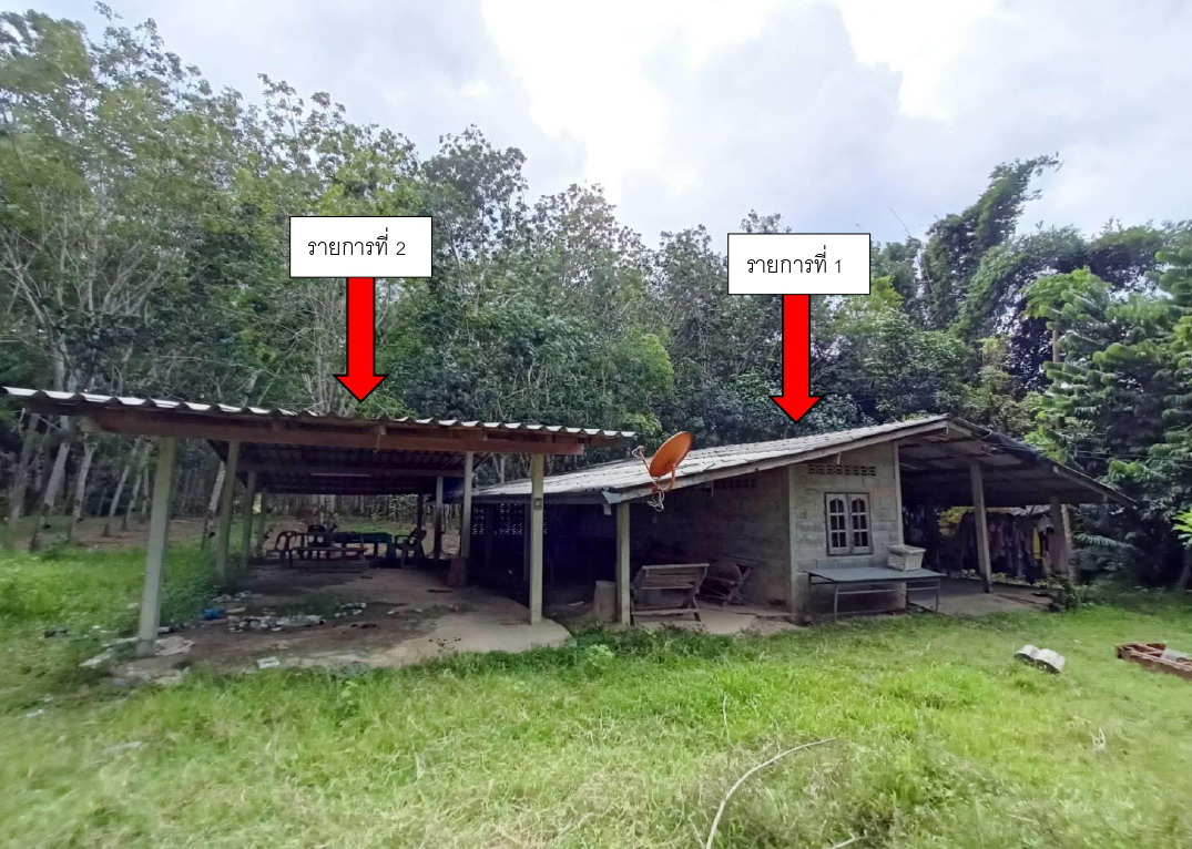 ขายทอดตลาด ที่ดินพร้อมสิ่งปลูกสร้าง ต.ท่าสะบ้า อ.วังวิเศษ จ.ตรัง