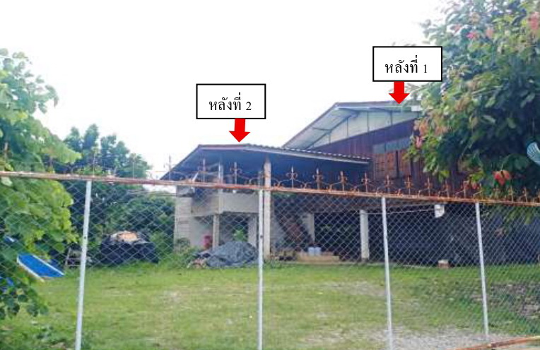 ขายทอดตลาด ที่ดินพร้อมสิ่งปลูกสร้าง ต.ป่าซาง อ.เวียงเชียงรุ้ง จ.เชียงราย