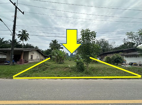 ขายทอดตลาด ที่ดินว่างเปล่า ต.บ่อหิน อ.สิเกา จ.ตรัง