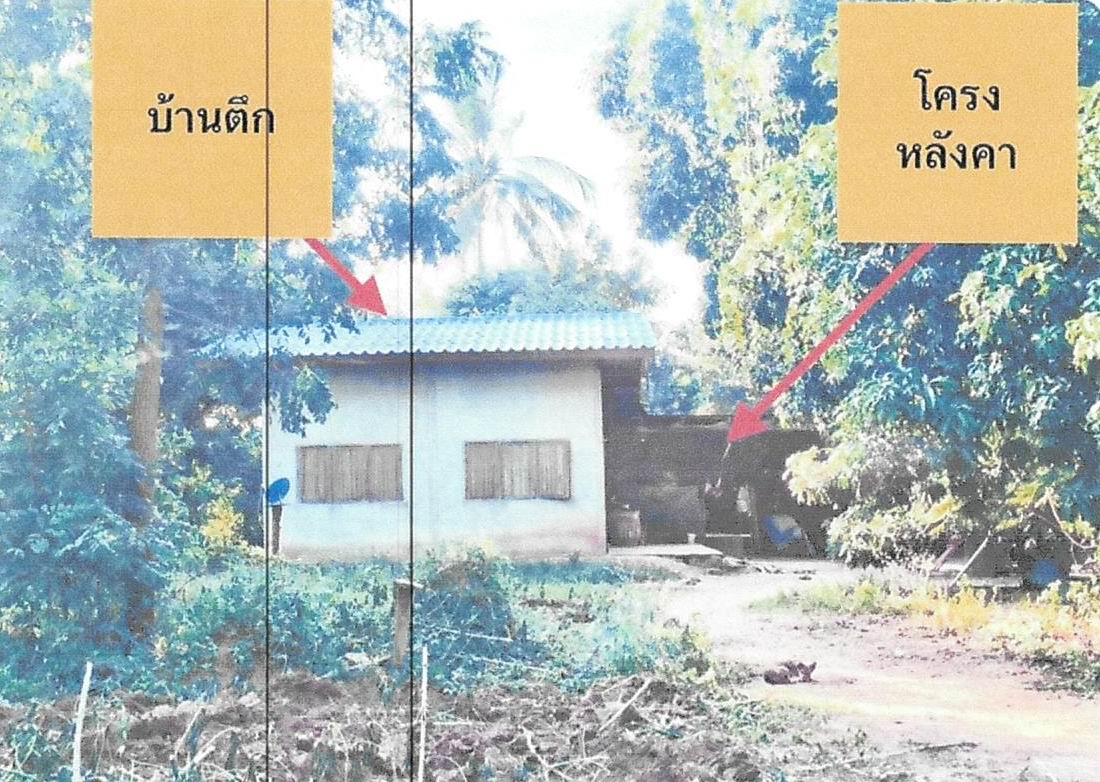 ขายทอดตลาด ที่ดินพร้อมสิ่งปลูกสร้าง ต.เด่นใหญ่ อ.หันคา จ.ชัยนาท