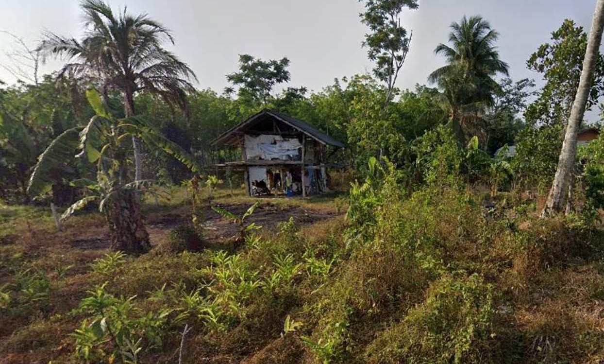 ขายทอดตลาด ที่ดินพร้อมสิ่งปลูกสร้าง ต.ควนธานี อ.กันตัง จ.ตรัง