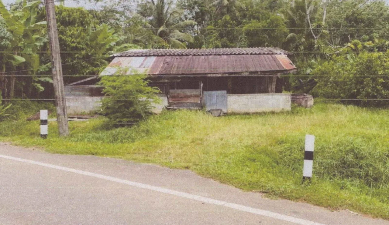 ขายทอดตลาด ที่ดินพร้อมสิ่งปลูกสร้าง ต.บางหมาก อ.กันตัง จ.ตรัง