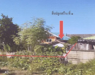 รูปทรัพย์ 2