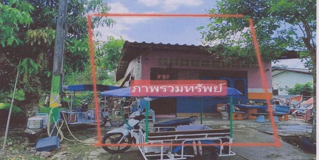 ขายทอดตลาด ที่ดินพร้อมสิ่งปลูกสร้าง ต.บางเป้า อ.กันตัง จ.ตรัง