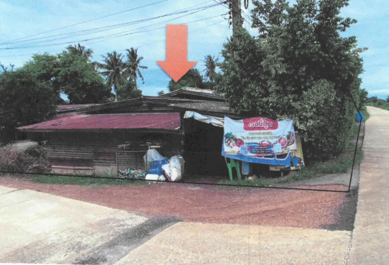 ขายทอดตลาด ที่ดินพร้อมสิ่งปลูกสร้าง ต.หนองแซง อ.หันคา จ.ชัยนาท