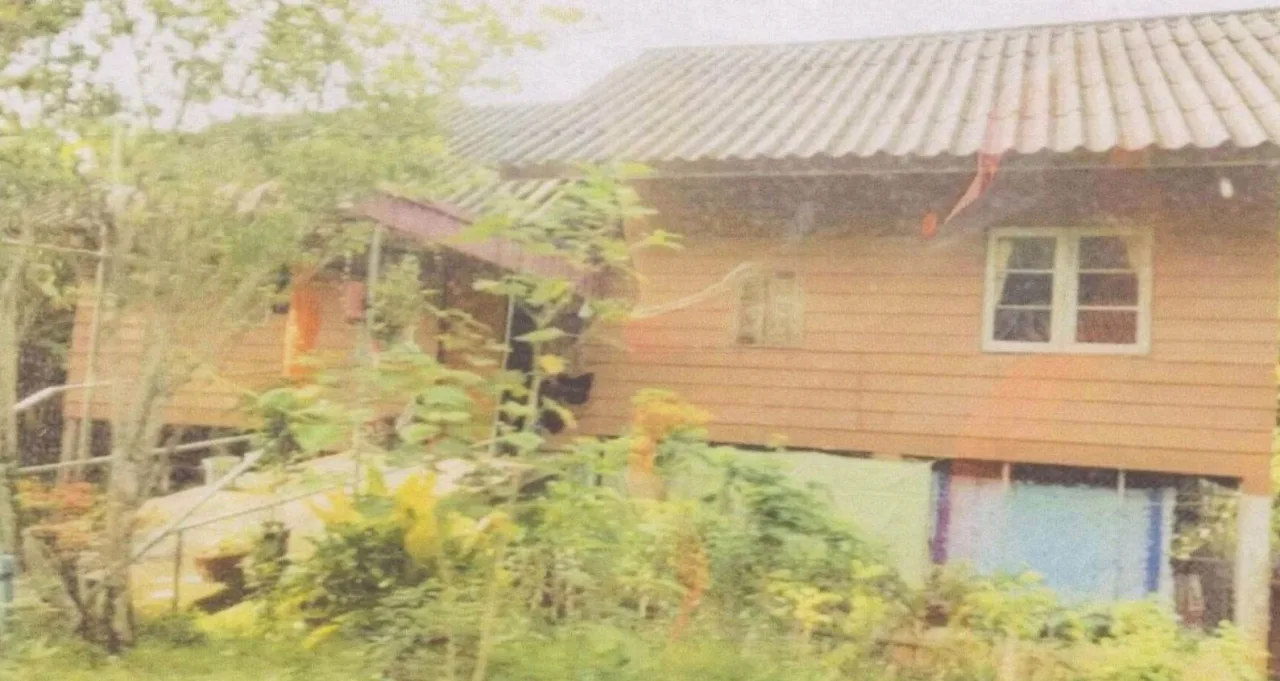 ขายทอดตลาด ที่ดินพร้อมสิ่งปลูกสร้าง ต.บางหมาก อ.กันตัง จ.ตรัง