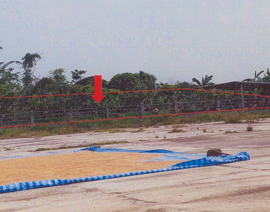ขายทอดตลาด ที่ดินพร้อมสิ่งปลูกสร้าง ต.ศรีถ้อย อ.แม่สรวย จ.เชียงราย