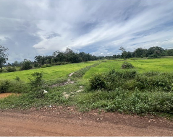 ขายทอดตลาด ที่ดินว่างเปล่า ต.คำเตย อ.เมืองนครพนม จ.นครพนม