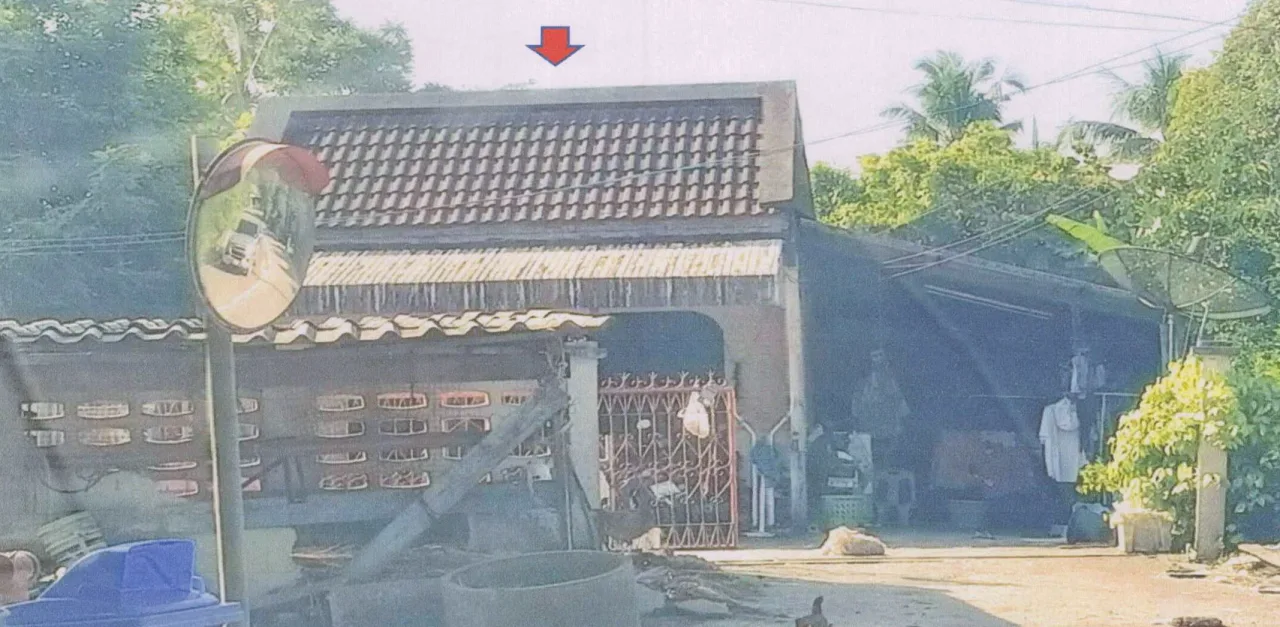 ขายทอดตลาด ที่ดินพร้อมสิ่งปลูกสร้าง ต.บางเป้า อ.กันตัง จ.ตรัง