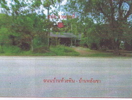 ขายทอดตลาด ที่ดินพร้อมสิ่งปลูกสร้าง ต.เขาวิเศษ อ.วังวิเศษ จ.ตรัง