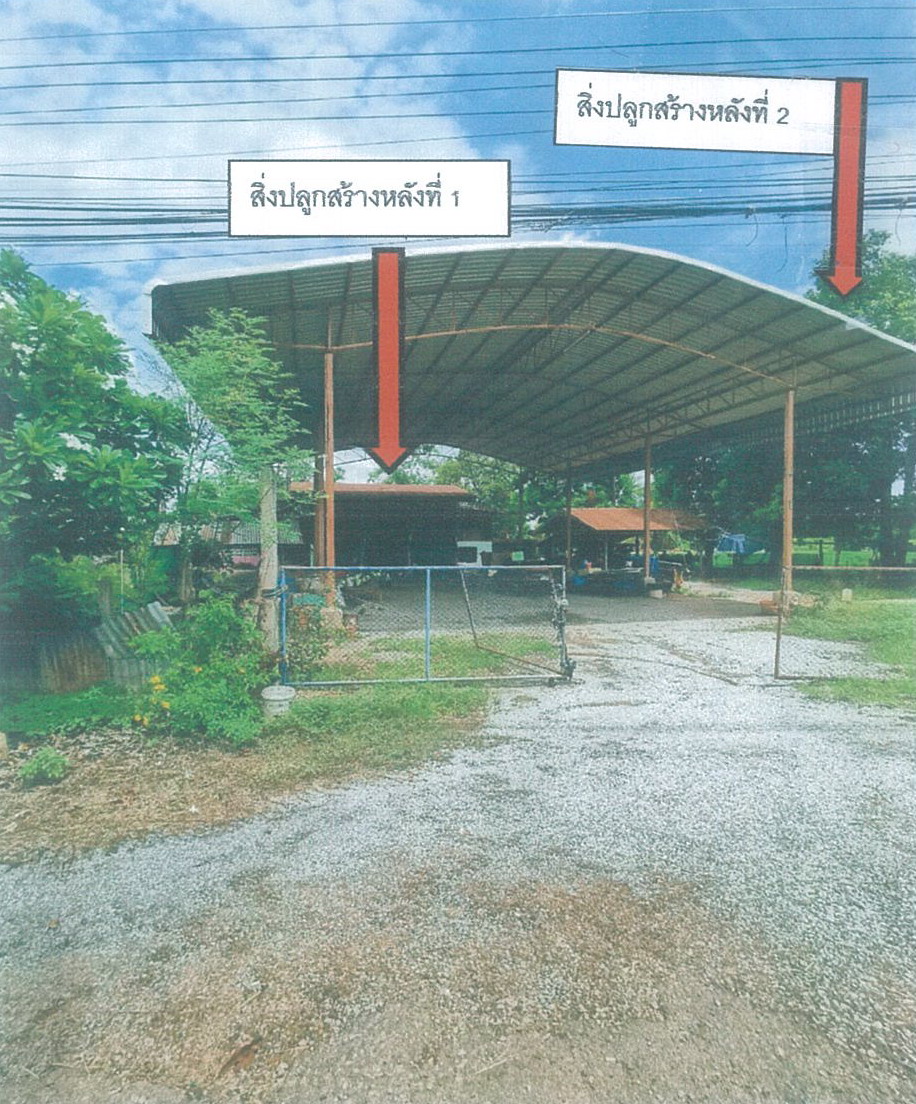 ขายทอดตลาด ที่ดินพร้อมสิ่งปลูกสร้าง ต.นางลือ อ.เมืองชัยนาท จ.ชัยนาท