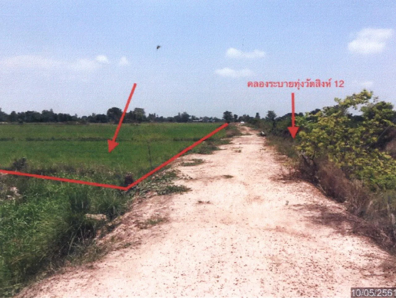 ขายทอดตลาด ที่ดินว่างเปล่า ต.หนองแซง อ.หันคา จ.ชัยนาท