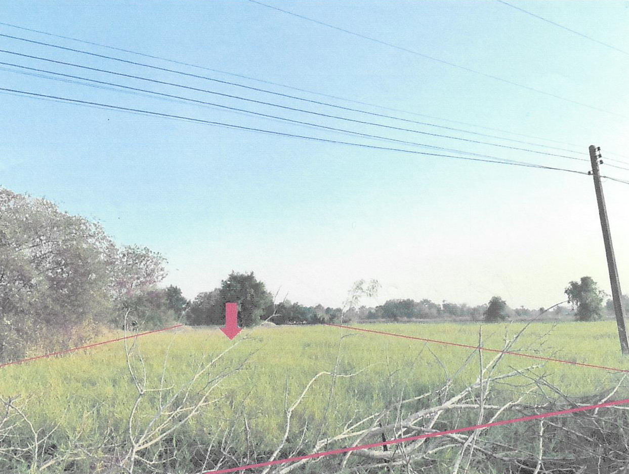 ขายทอดตลาด ที่ดินว่างเปล่า จ.ชัยนาท