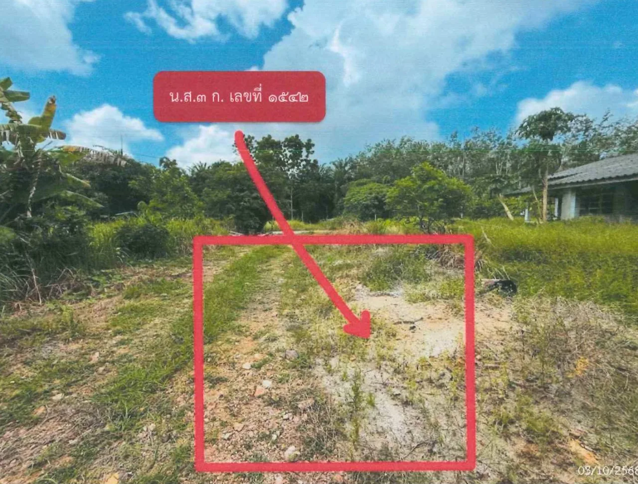 ขายทอดตลาด ที่ดินว่างเปล่า ต.บางสัก อ.กันตัง จ.ตรัง