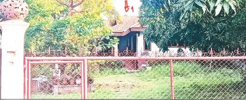 ขายทอดตลาด ที่ดินพร้อมสิ่งปลูกสร้าง ต.สันทราย อ.แม่จัน จ.เชียงราย