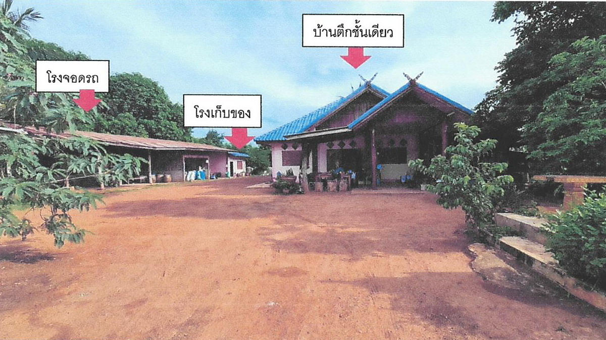 ขายทอดตลาด ที่ดินพร้อมสิ่งปลูกสร้าง ต.เด่นใหญ่ อ.หันคา จ.ชัยนาท