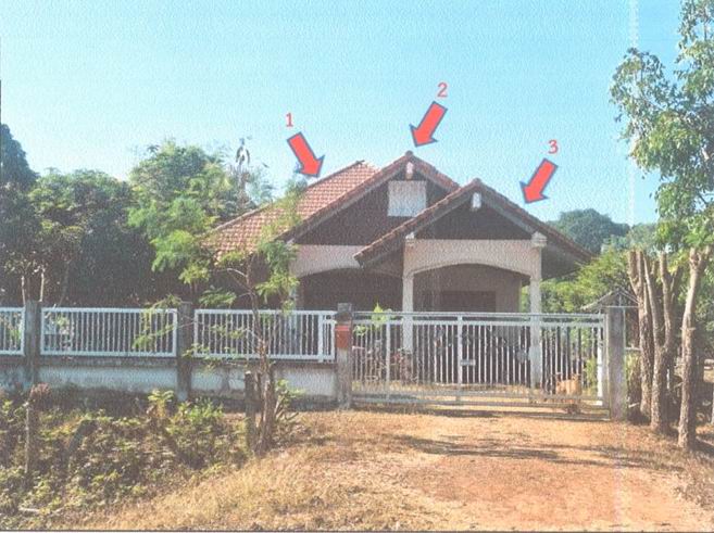 ขายทอดตลาด ที่ดินพร้อมสิ่งปลูกสร้าง ต.หนองญาติ อ.เมืองนครพนม จ.นครพนม