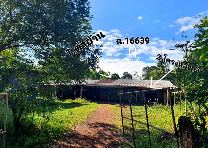 ขายทอดตลาด ที่ดินพร้อมสิ่งปลูกสร้าง ต.เรณู อ.เรณูนคร จ.นครพนม