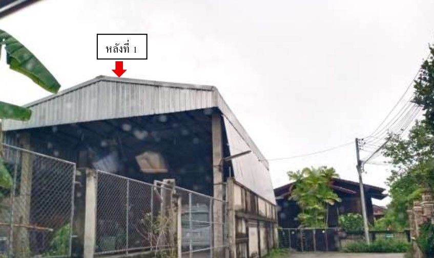 ขายทอดตลาด ที่ดินพร้อมสิ่งปลูกสร้าง ต.หัวง้ม อ.พาน จ.เชียงราย
