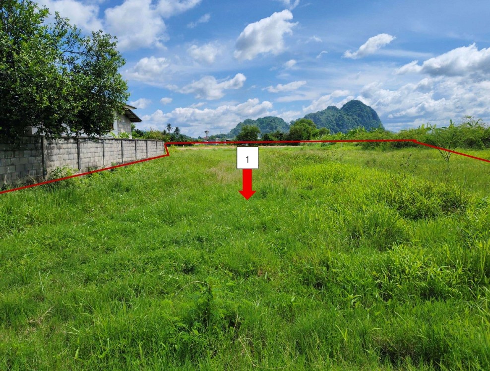 ขายทอดตลาด ที่ดินว่างเปล่า ต.ผางาม อ.เวียงชัย จ.เชียงราย