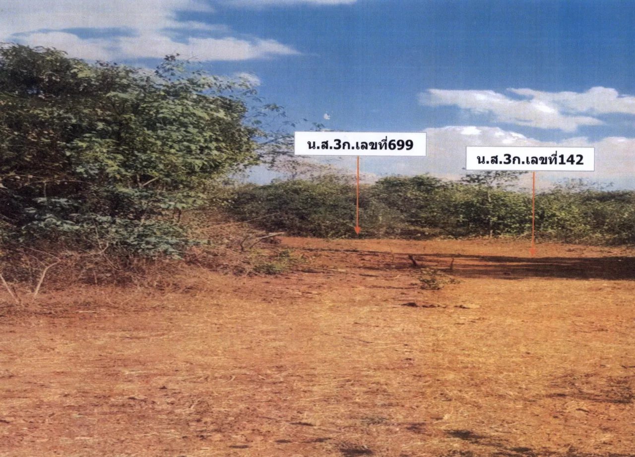 ขายทอดตลาด ที่ดินว่างเปล่า ต.บ้านใหม่ อ.ท่าม่วง จ.กาญจนบุรี