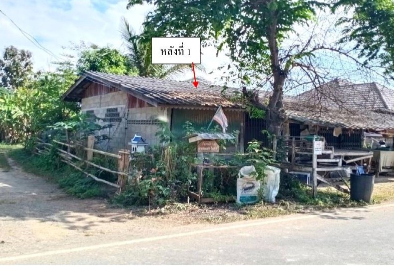 ขายทอดตลาด ที่ดินพร้อมสิ่งปลูกสร้าง ต.สันกลาง อ.พาน จ.เชียงราย