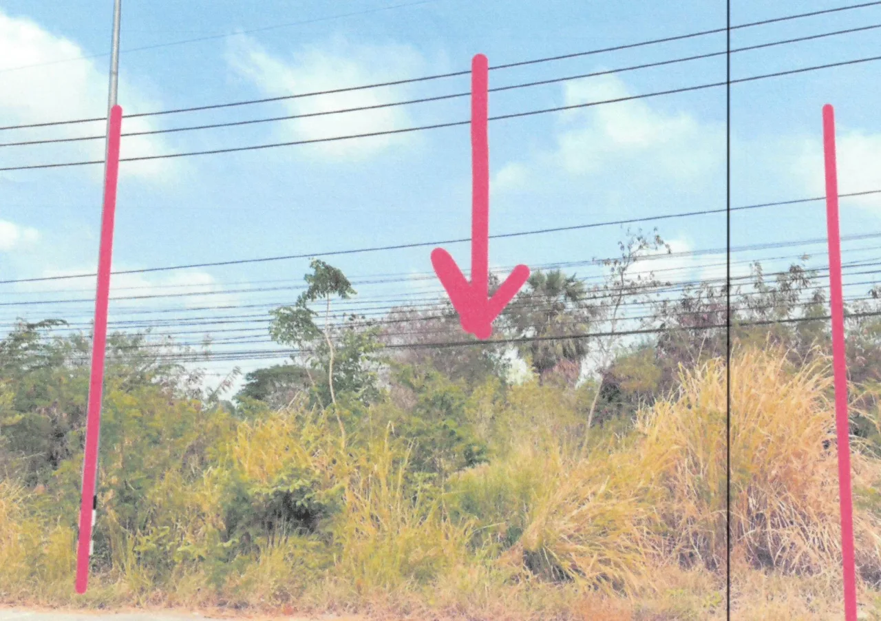 ขายทอดตลาด ที่ดินว่างเปล่า ต.เขาท่าพระ อ.เมืองชัยนาท จ.ชัยนาท