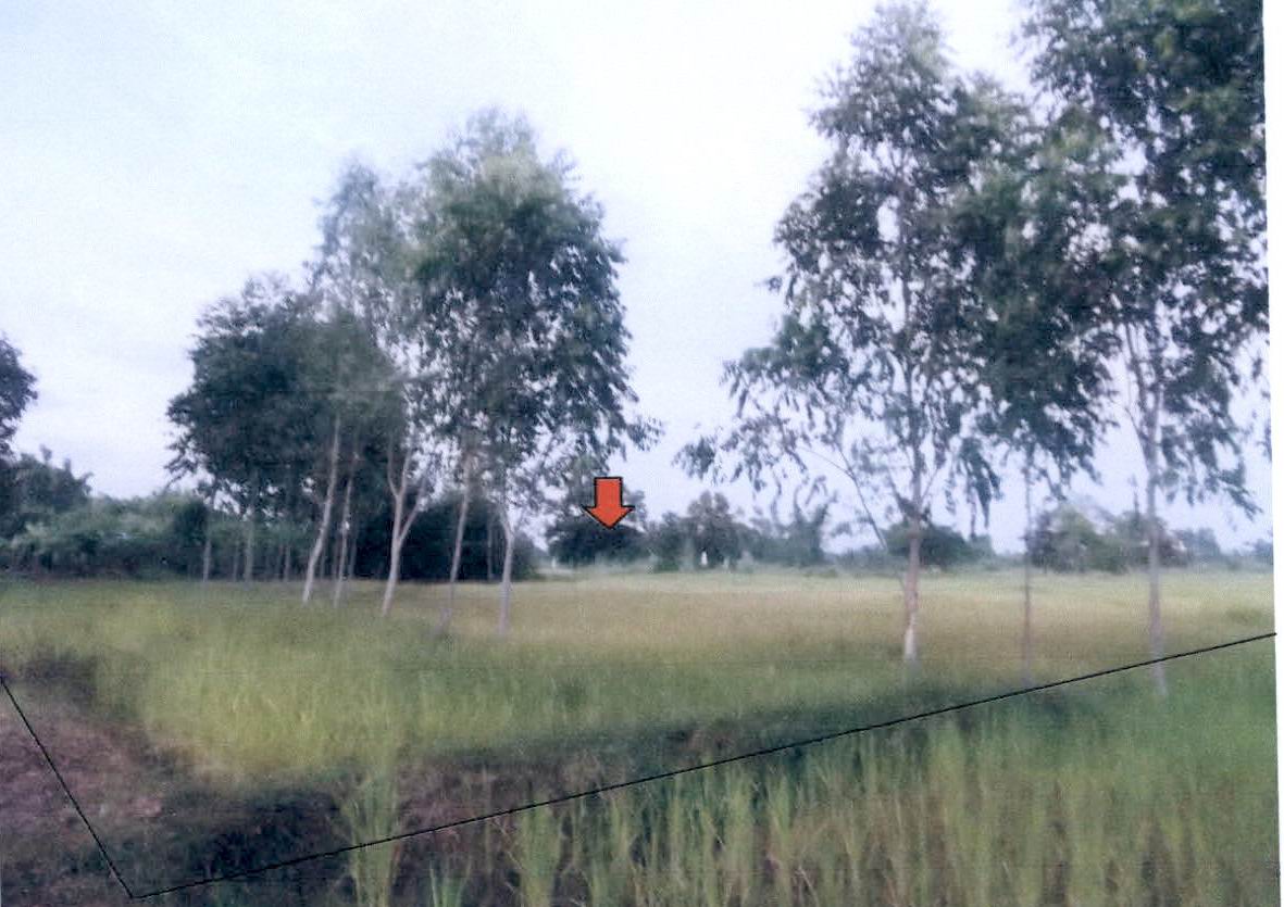 ขายทอดตลาด ที่ดินว่างเปล่า ต.กุรุคุ อ.เมืองนครพนม จ.นครพนม